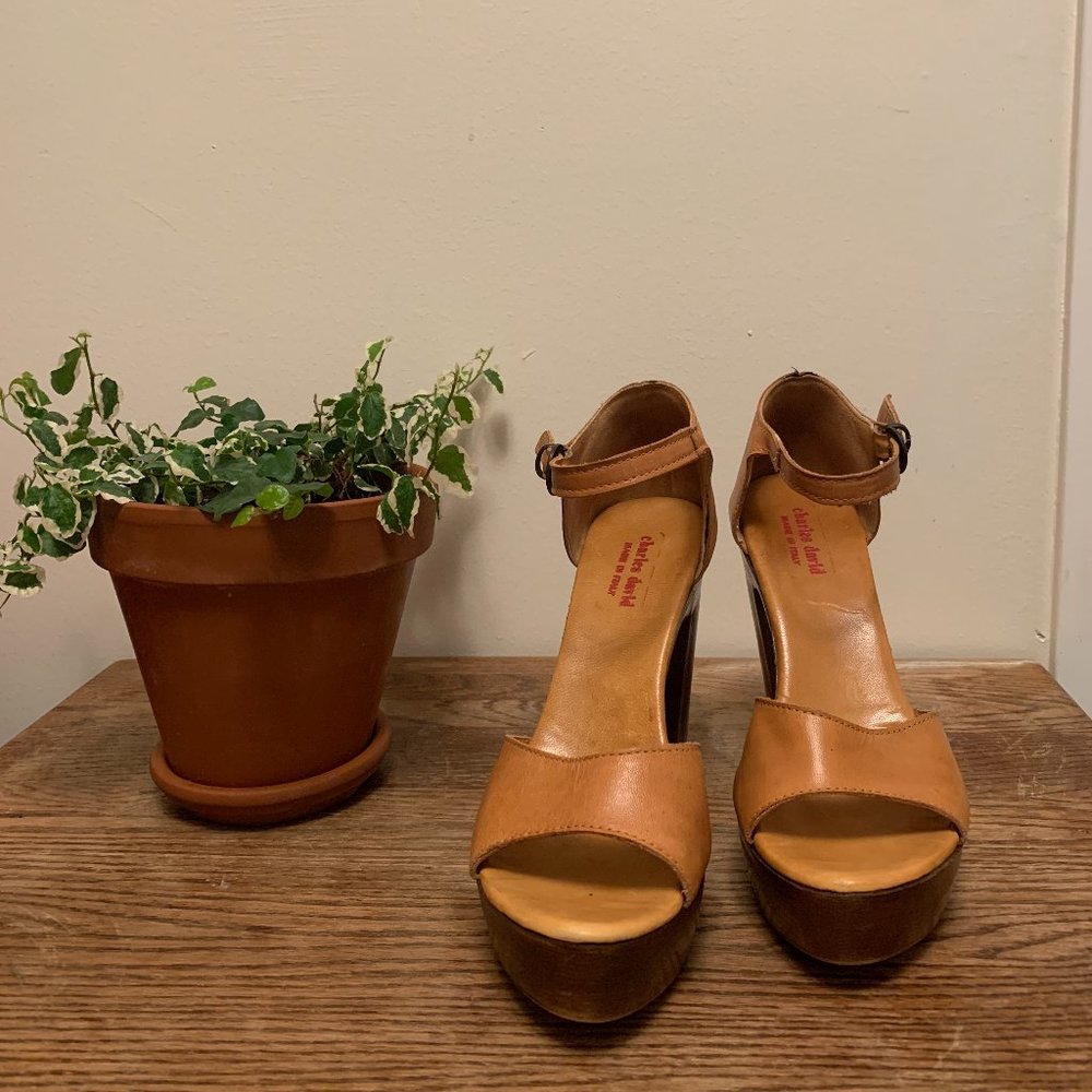 Charles David Italian Leather & Wood Platforms